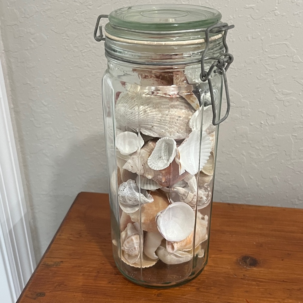 10in Octagon Glass Jar Filled with Assorted Seashells